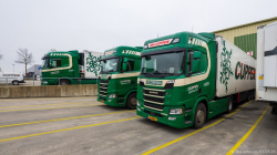 20250301-Cuppen-00146